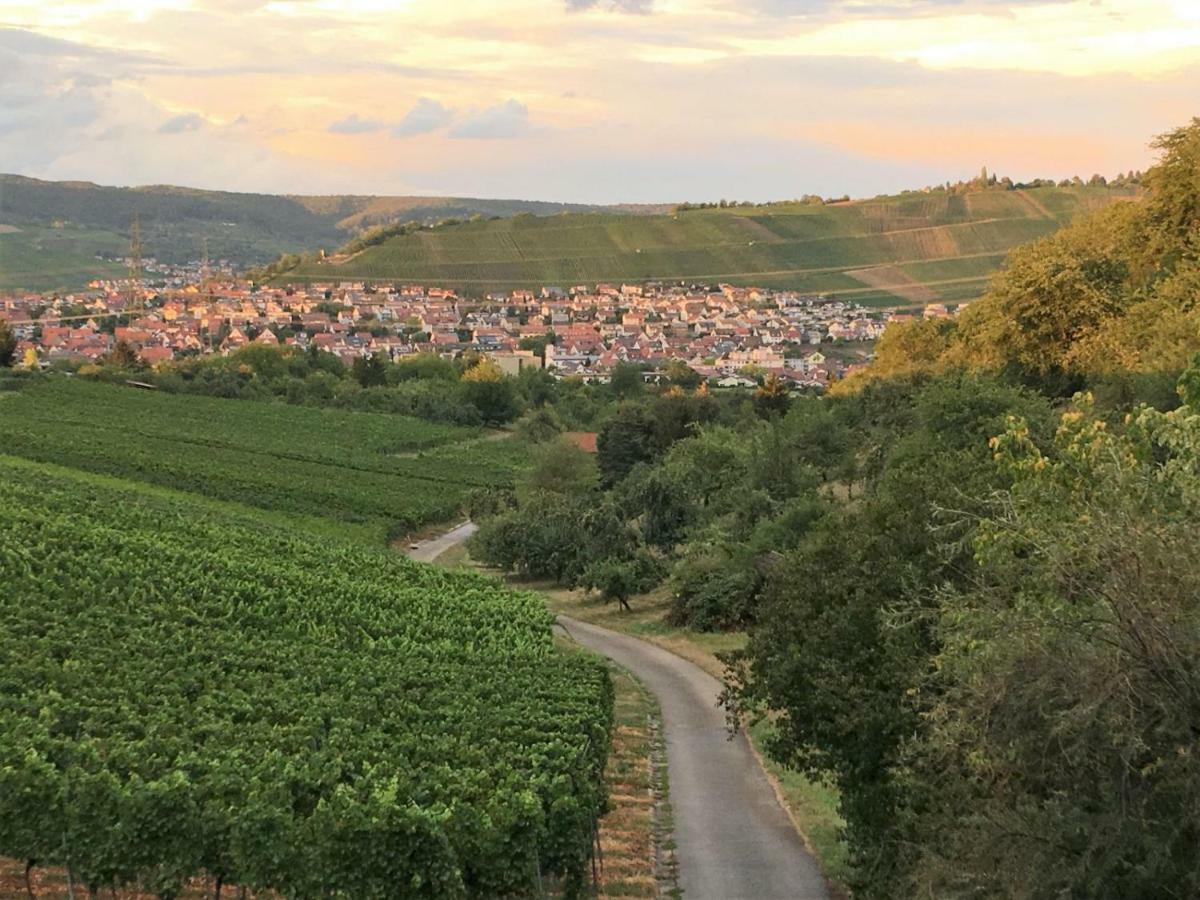 Ferienwohnungen Weinstadt Luaran gambar