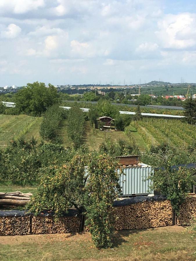 Ferienwohnungen Weinstadt Luaran gambar